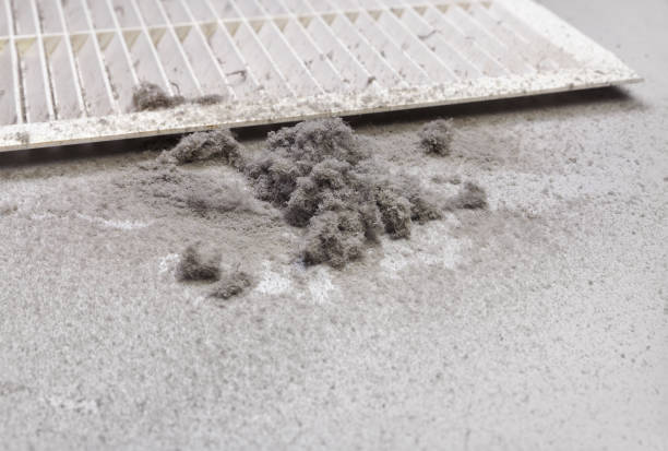 Best Local Air Duct Cleaning Services  in Lemont, IL