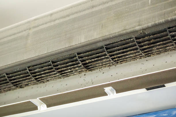 Best HVAC Duct Inspection Services  in Lemont, IL
