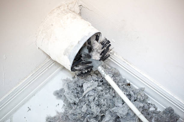 Best Affordable Duct Cleaning Services  in Lemont, IL
